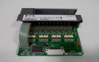 1746-IB16D 1746-IB16/D